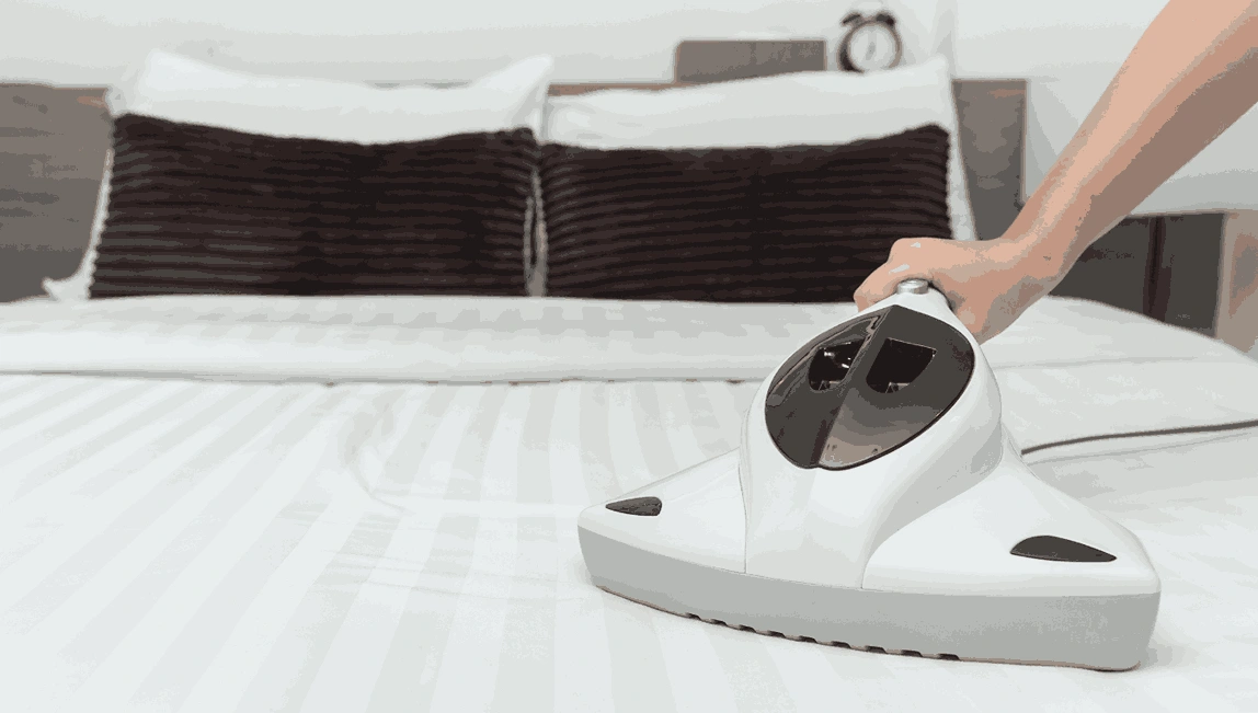 Professional Mattress Cleaning Tootgarook